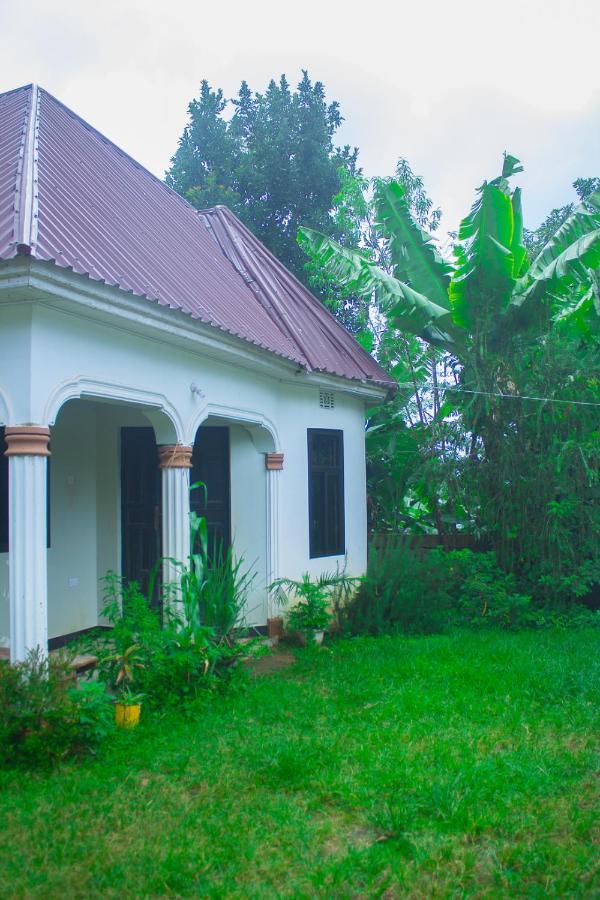 Bed and Breakfast New Dream House Arusha Exteriér fotografie