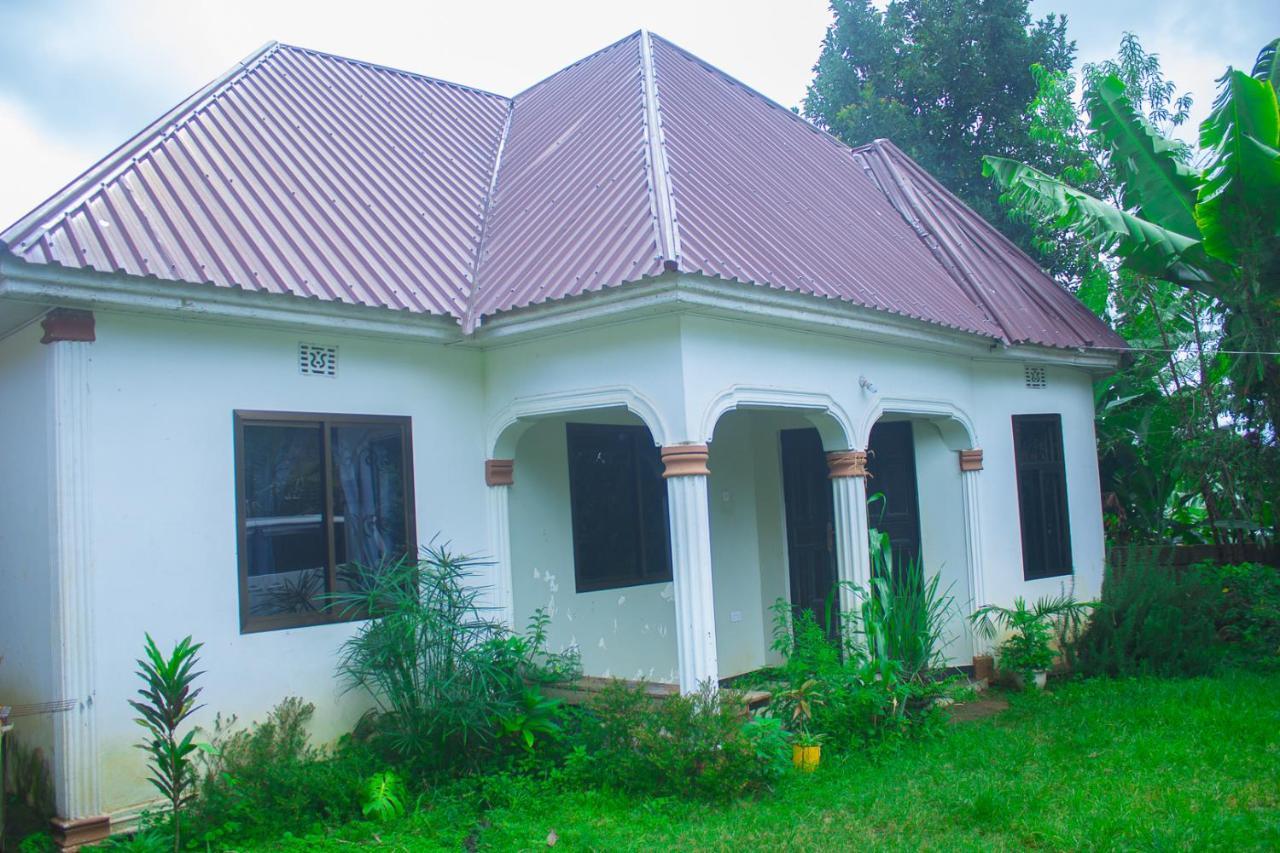 Bed and Breakfast New Dream House Arusha Exteriér fotografie