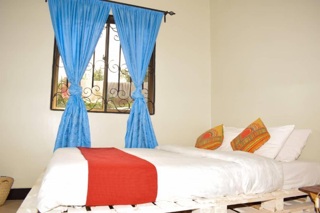 Bed and Breakfast New Dream House Arusha Exteriér fotografie